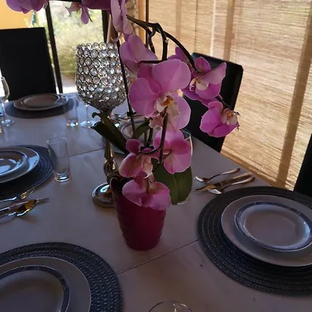 Casa Alexandra * Carvoeiro (Lagoa)